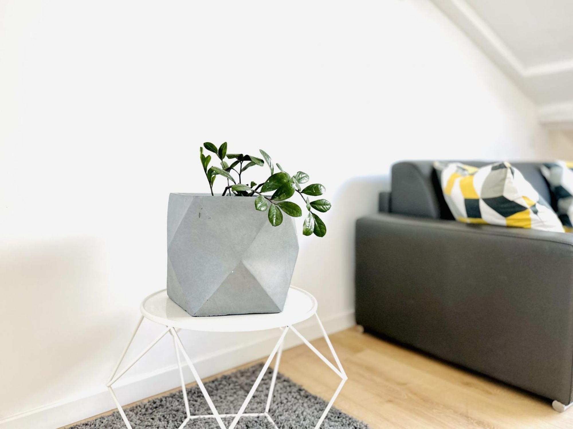 Apartamento Le Bardot - Magnifique T2 - Rue D'antibes - Clim *